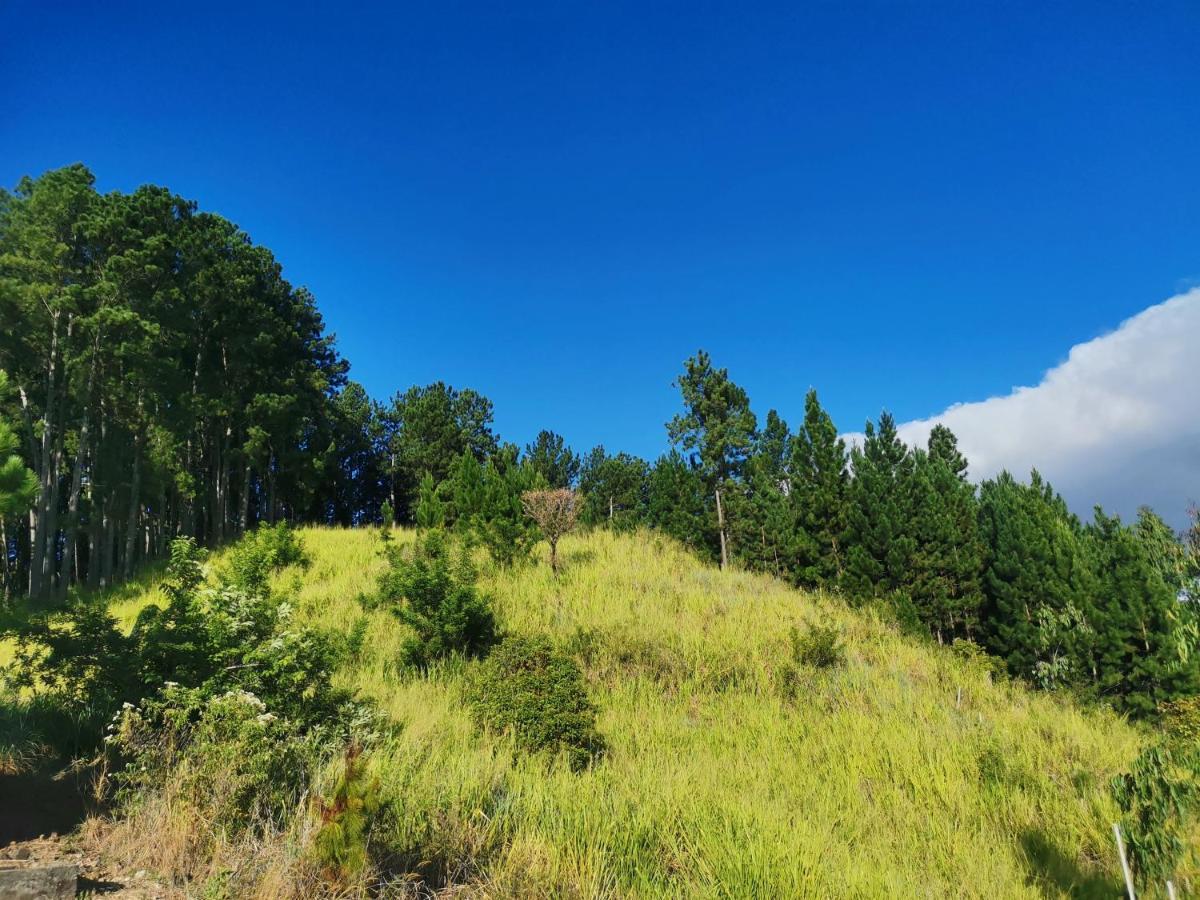 Mountain Peak Ella Bed and Breakfast Εξωτερικό φωτογραφία